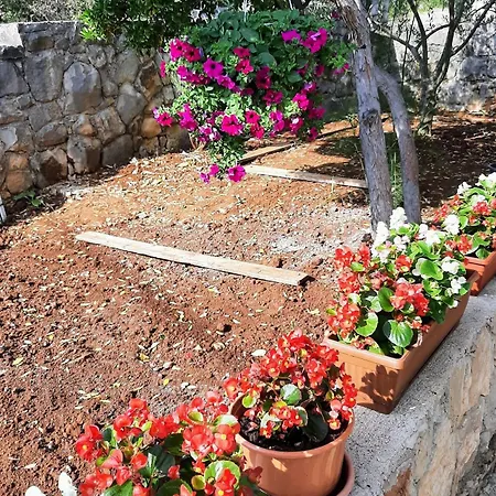 House With A Parking Space Cove Piskera, Solta - 21775 Tatil Evi